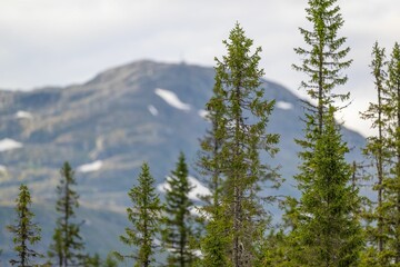 Beautiful shot of the Swedish mountains of Are in Copperhill in summer