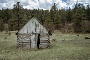 Small wooden house in the forest