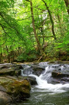 Vertical shot of the Erme river in south Devon, England