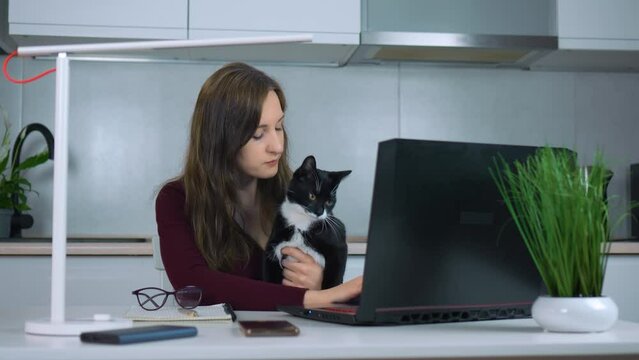 Woman entrepreneur hugging and kissing her domestic cat while working on laptop from home office. Pets caring. Busy worker freelancer entrepreneur working home at kitchen in financial sphere