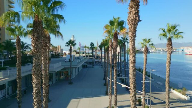 Beautiful view of the palm trees on the sea beach in Malaga, Spain