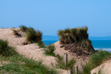 Fototapeta na wymiar Sand dunes at Northam Burrows, North Devon