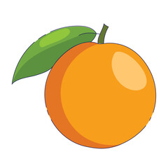 Fresh orange fruit isolated on white background. Tangerine. Organic fruit. Flat style. Vector illustration for your design.