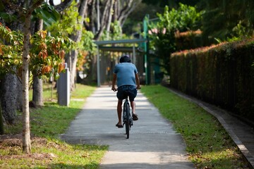 Young singaporean Man with blue t-shirt riding a bike in a narrow road surrounded by greenery