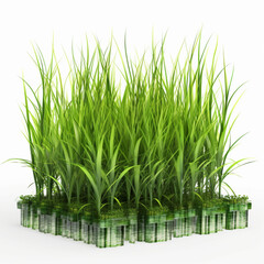 Vibrant Freshness: High-Resolution Image of Isolated Fresh Green Grass