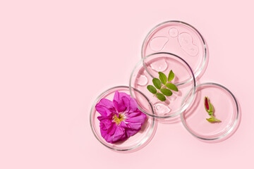 Cosmetic beauty concept with rose, rosehip flower and green leafbottle serum, drops and petri dish on pink background