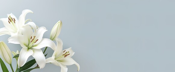 Condolence card for funeral, grieving, loss, support. Lilies on a neutral background for sending words of support and comfort. Generative AI. - obrazy, fototapety, plakaty
