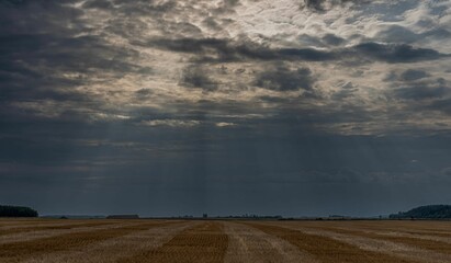 Beautiful view of a dry field under the cloudy sky during sunrise