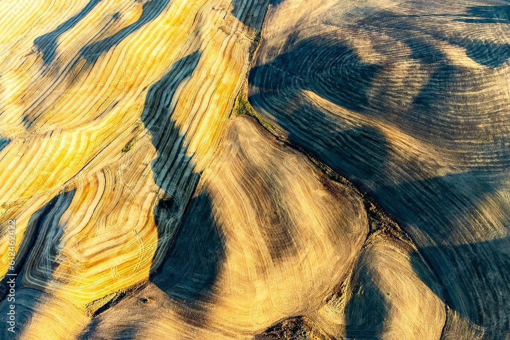 Sticker aerial shot of golden wheat fields in the rolling hills of the palouse region in washington state