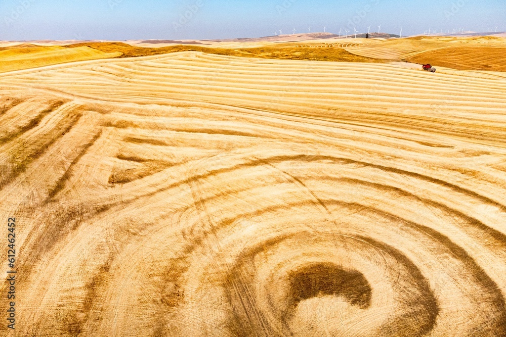 Sticker aerial shot of golden wheat fields in the rolling hills of the palouse region in washington state