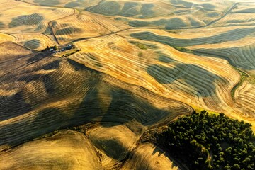 Aerial shot of golden wheat fields in the rolling hills of the Palouse region in Washington State