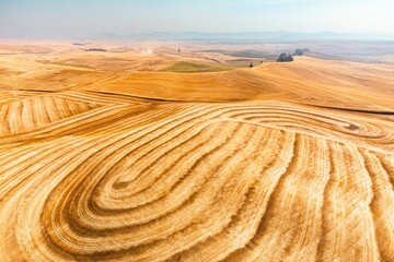 Beautiful view of a harvested wheat field with a rolling hill surface