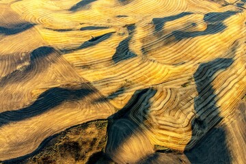 Aerial shot of golden wheat fields in the rolling hills of the Palouse region in Washington State