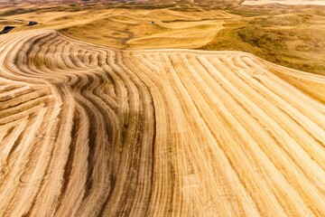 Aerial view of wheat field with a rolling hill pattern