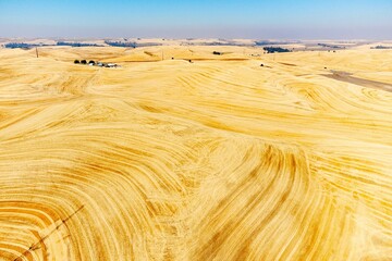 Aerial view of a harvested wheat field with a rolling hill surface