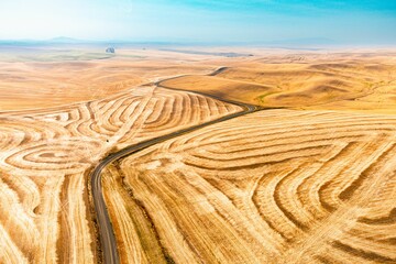 Naklejka premium Beautiful view of a wheat field with a rolling hill pattern