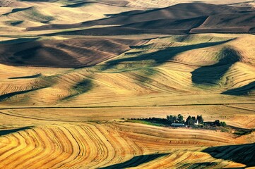 Beautiful view of wheat farmland with a rolling hill surface in Palouse