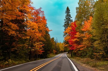 Asphalt road going through a mesmerizing forest in fall colors, autumn foliage against the blue sky