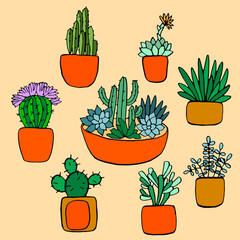 set cacti and succulents