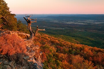 Scenic shot of Hawksbill Crag(Whitaker Point) in Newton County, Arkansas at pinky sunset