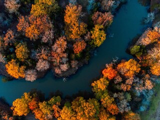 Fototapeta na wymiar Aerial view of beautiful colorful autumn trees on the shore of a river