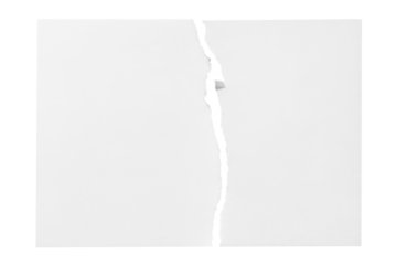 Torn sheet of paper cut out