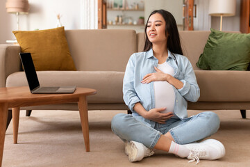 Pregnant Japanese Lady Using Laptop Working Online In Living Room