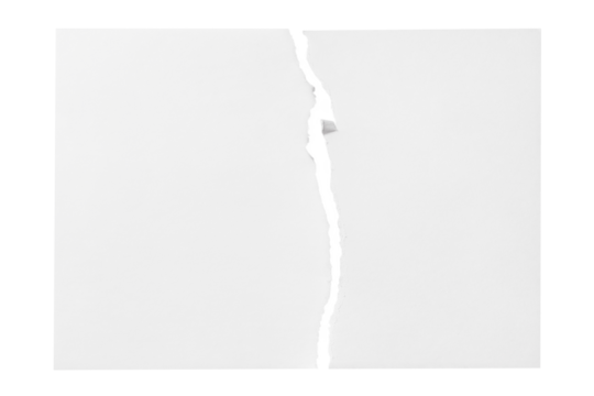 Torn sheet of paper cut out