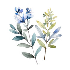 Cute botanical watercolor plant. Illustration AI Generative.