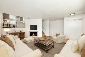 Contemporary living room