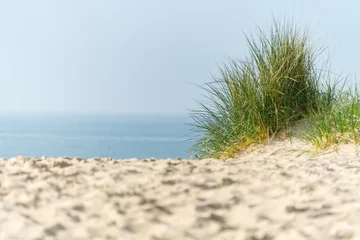 Photo sur Plexiglas Mer du Nord, Pays-Bas Sand dunes with marram grass and empty beach on Dutch coastline. Netherlands in overcast day. The dunes or dyke at Dutch north sea coast