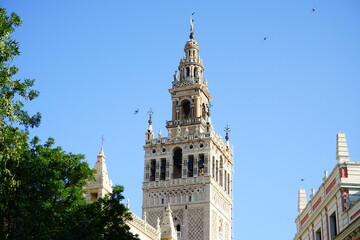 Fototapeta na wymiar Giralda tower far view, Seville, Andalucia, Spain