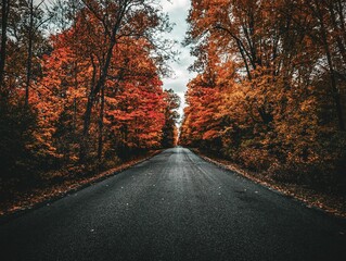 Fototapeta premium Quiet autumnal road, lined with vibrant trees, dappled with fallen leaves, St.Georgr Ontario Canada