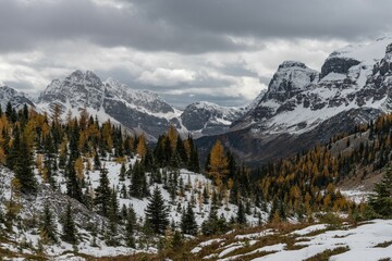 Marvel Pass in Assiniboine provincial park BC Canada in autumn after first snowfall with larch trees