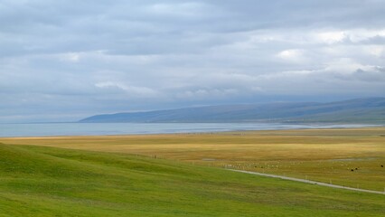 Fototapeta na wymiar Landscape view of an isolated field with the Qinghai Lake in the background