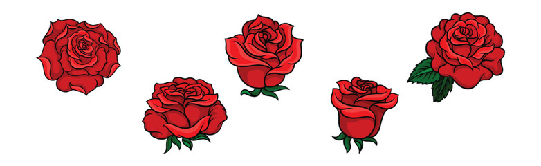 Decorative Blown Red Roses with Petal and Leaves Vector Set