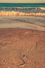 Vertical shot of a sandy beach with water waves blurred in the background