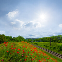 Fototapeta na wymiar railway near hill covered by red poppy flowers