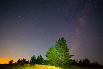 Fototapeta na wymiar night prairie with pine tree under starry sky, night outdoor landscape