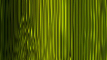 Abstract, linear, vertical green background.