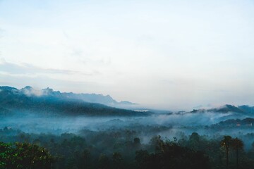 Scenic shot of a fog-covered landscape - great for backgrounds