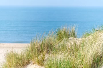 Crédence de cuisine en verre imprimé Mer du Nord, Pays-Bas Sand dunes with marram grass and empty beach on Dutch coastline. Netherlands in overcast day. The dunes or dyke at Dutch north sea coast