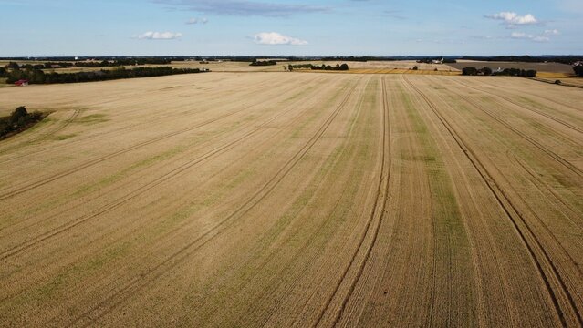 Aerial drone shot of a vast agricultural field