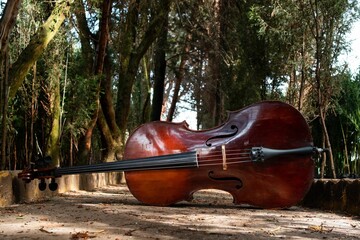 Big cello on the ground outdoors © Jhon Ticona/Wirestock Creators