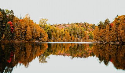 Moody colorful autumn landscape of trees reflecting on a lake