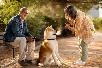 Glad cheerful european mature couple play with dog, enjoy walk together, training pet in park at...