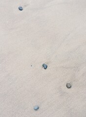 Vertical shot of the sand on the beach with rocks