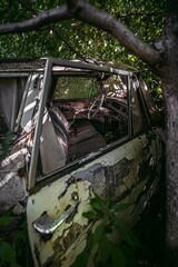 an old rusted car is shown in this photo, through the overgrown branches of