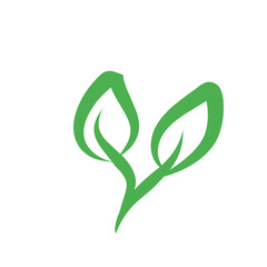 Leaf line icon