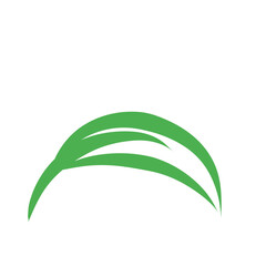 Leaf line icon